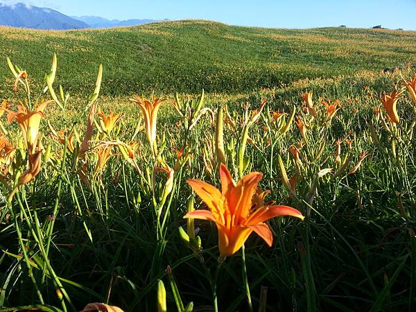 20130825_070650 20130825_070650