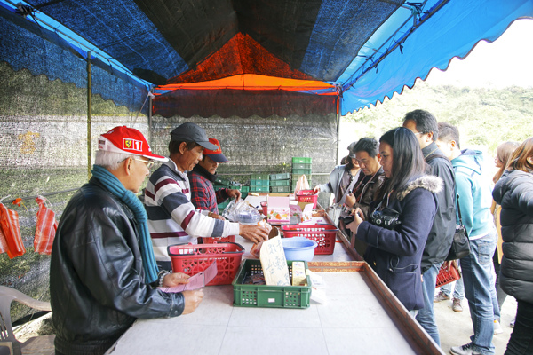 採草莓 (7).jpg 採草莓 (7).jpg