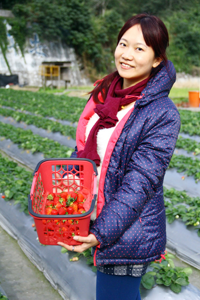 採草莓 (10).JPG 採草莓 (10).JPG