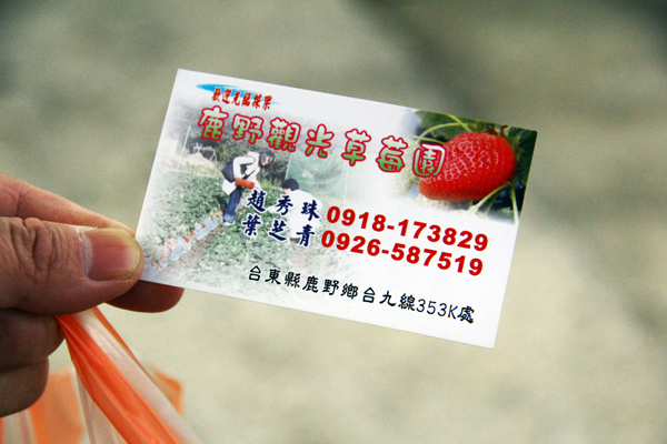 採草莓 (11).JPG 採草莓 (11).JPG