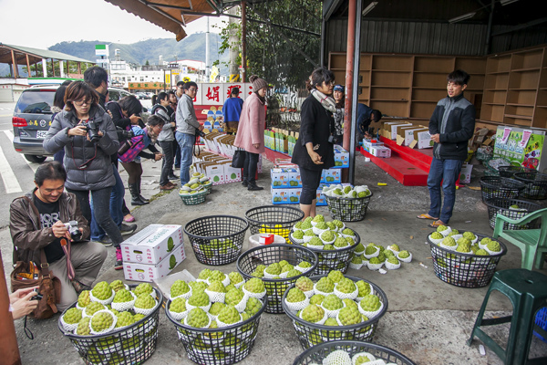 買釋迦 (1).jpg 買釋迦 (1).jpg