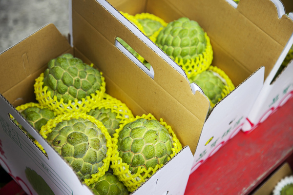 買釋迦 (3).jpg 買釋迦 (3).jpg