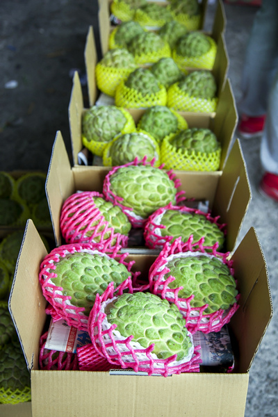 買釋迦 (4).jpg 買釋迦 (4).jpg