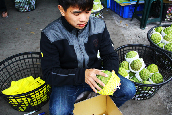 買釋迦 (7).JPG 買釋迦 (7).JPG