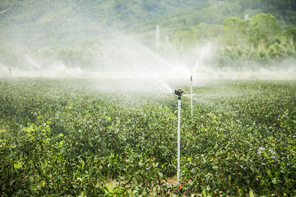 龍田單車 (2).jpg 龍田單車 (2).jpg