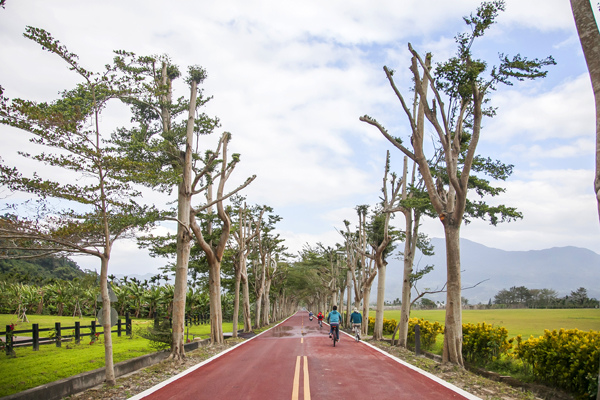 龍田單車 (3).jpg 龍田單車 (3).jpg