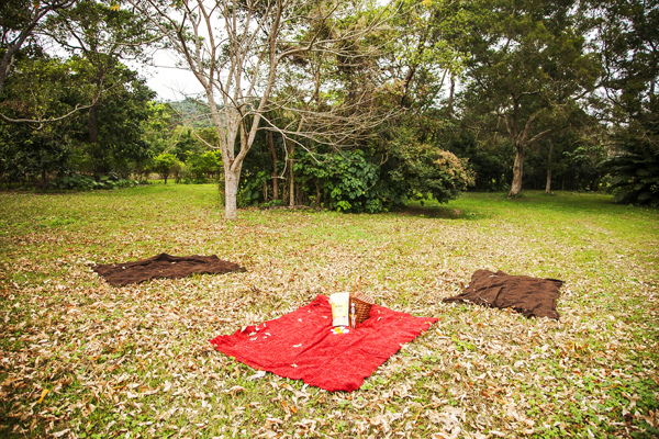 龍田單車 (6).jpg 龍田單車 (6).jpg