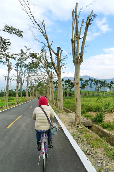 龍田單車 (12).jpg 龍田單車 (12).jpg