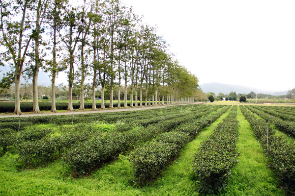 龍田單車 (14).JPG 龍田單車 (14).JPG