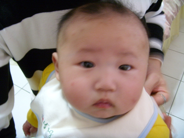 ST830745.JPG ST830745.JPG