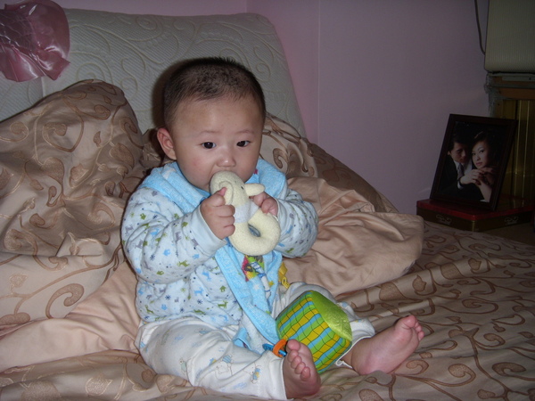 ST831271.JPG ST831271.JPG