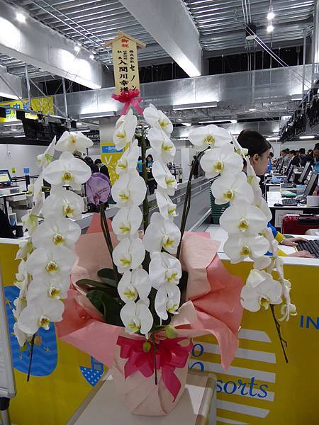 P1000668.jpg P1000668.jpg