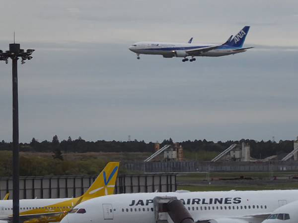 P1000764.JPG P1000764.JPG