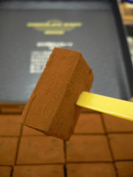 P1140663.JPG P1140663.JPG