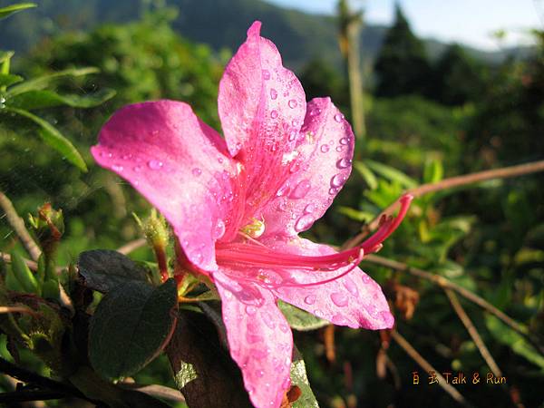 IMG_0192-1 IMG_0192-1