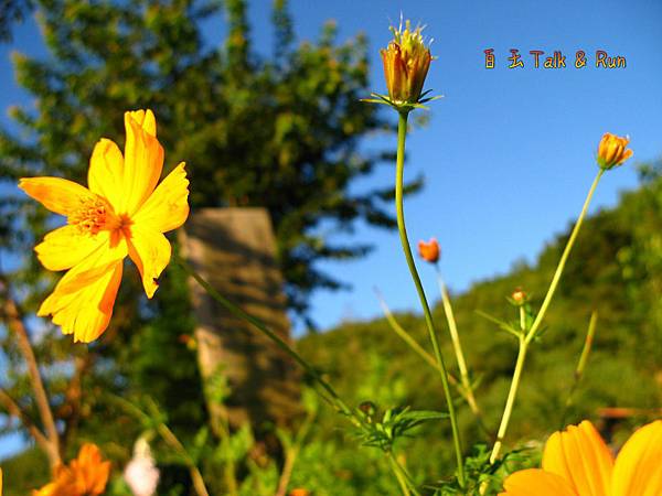 IMG_6497-1 IMG_6497-1