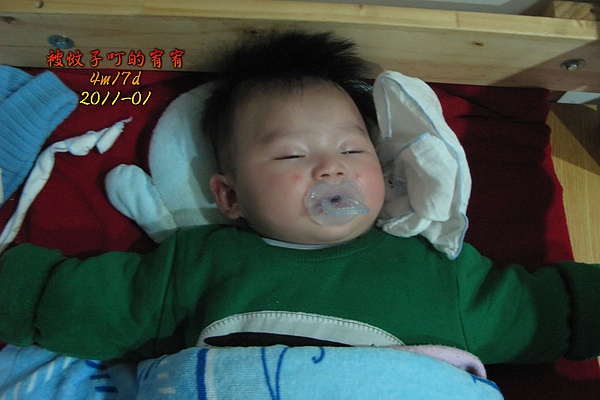 IMG_3261.jpg IMG_3261.jpg