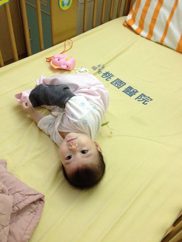 IMG_7645 IMG_7645