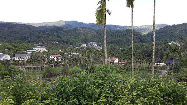 2014-06-22 09.53.33.jpg 2014-06-22 09.53.33.jpg