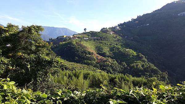 2014-06-28 07.00.59.jpg 2014-06-28 07.00.59.jpg