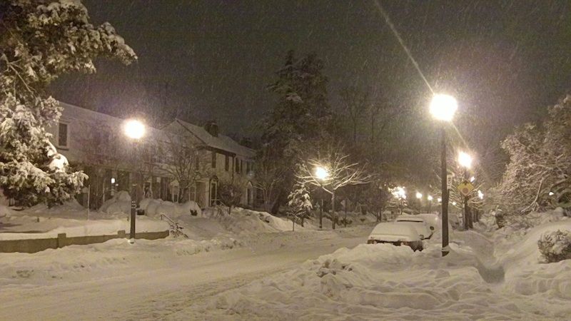 Snow 2010.jpg