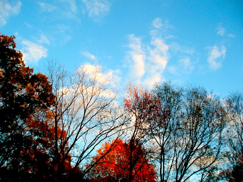 Autumn.jpg Autumn.jpg