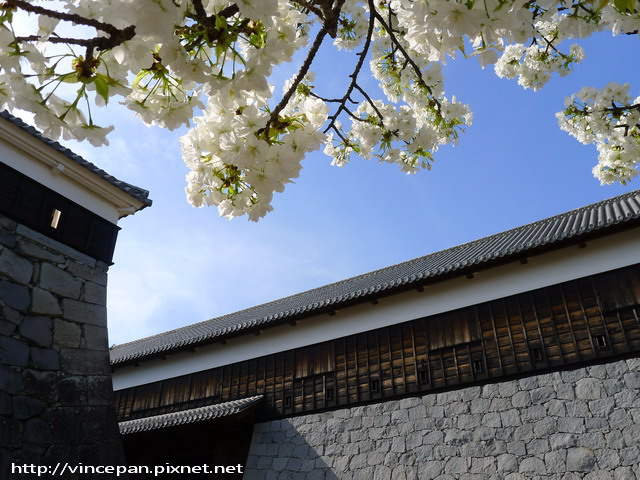 南大手櫓門 櫻花