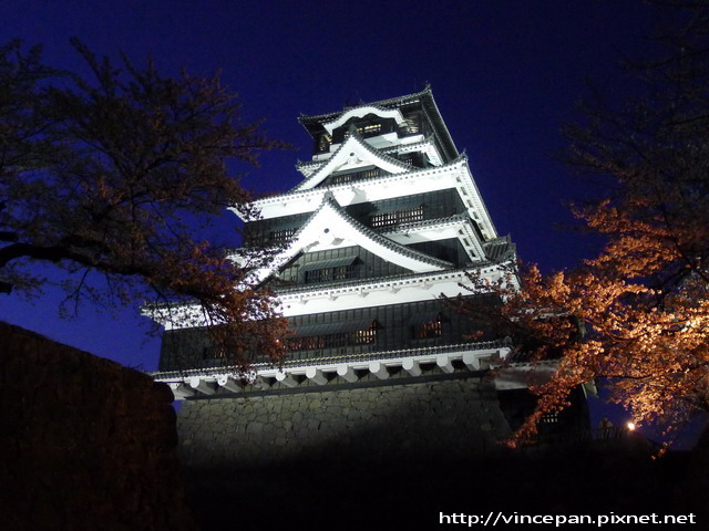 大天守閣 櫻花傍晚