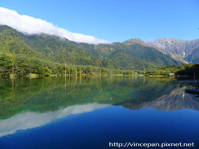 大正池 枯木 穗高