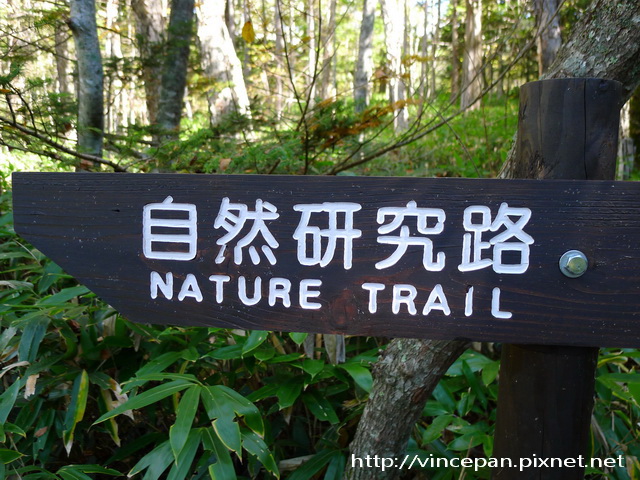 自然研究路