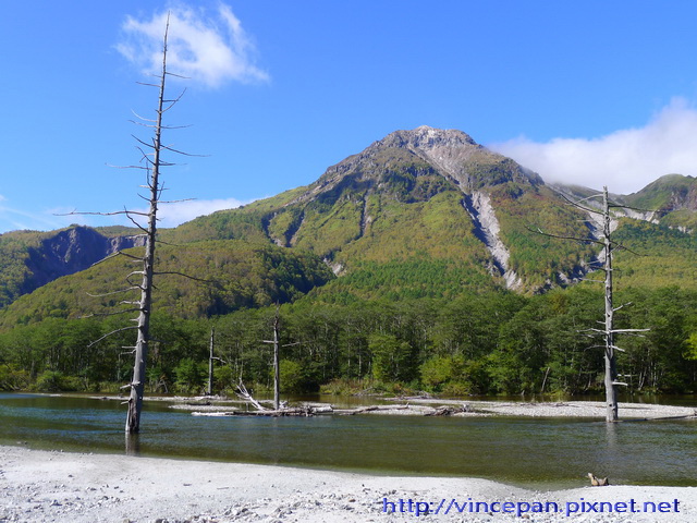 燒岳 水池 枯木 