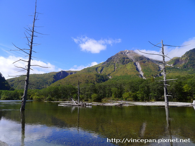 燒岳 水池 枯木2