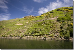 IMG144_Raul_Perez40 IMG144_Raul_Perez40