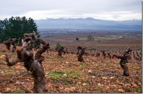 bierzo_img144_raul_perez26 bierzo_img144_raul_perez26