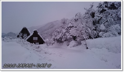 DSC_0906.JPG