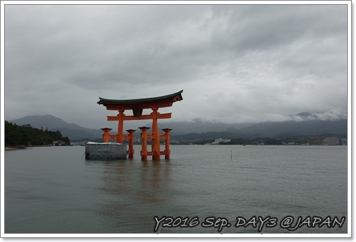 DSC01238.JPG