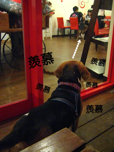下一張(熱鍵:c)