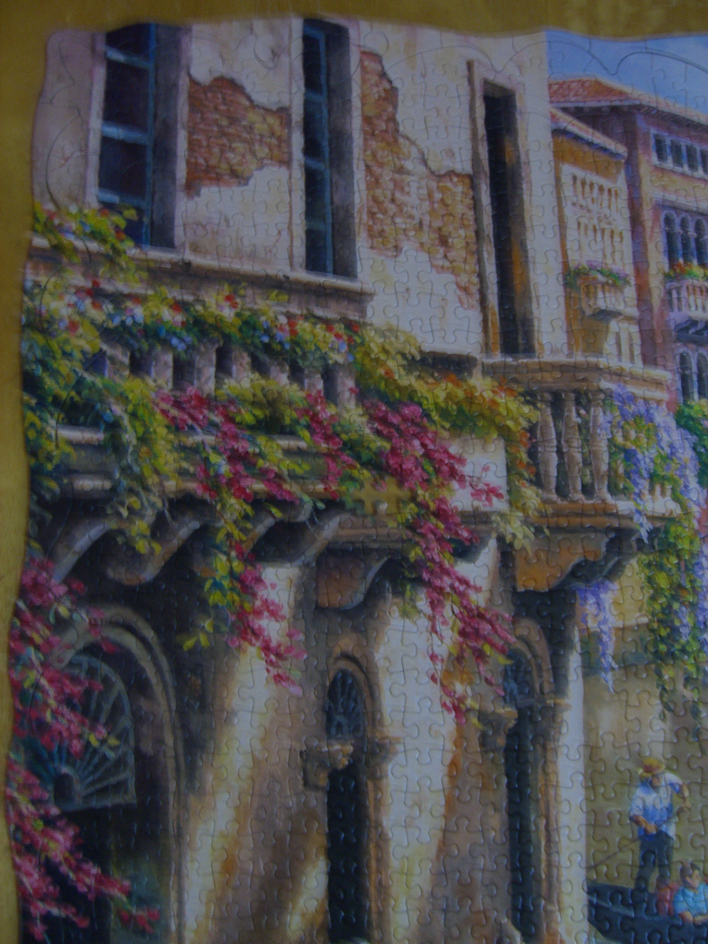 CIMG4447.JPG CIMG4447.JPG