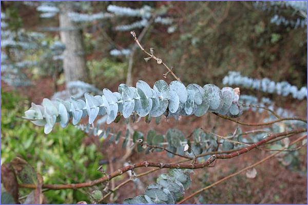 1020224_福壽山奇物