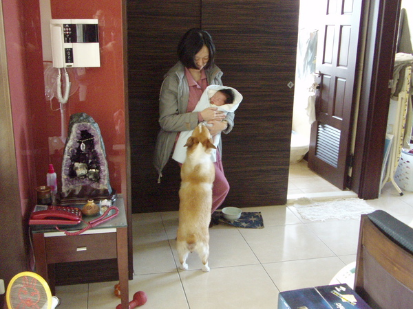 971220-12_好奇的NINI.JPG 971220-12_好奇的NINI.JPG