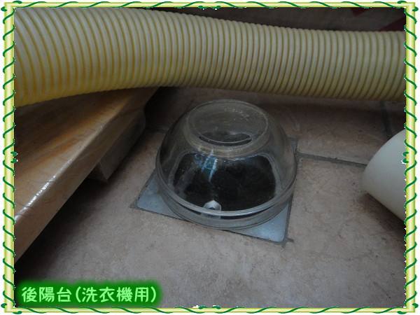 防蟑_後陽台(洗衣機用).jpg