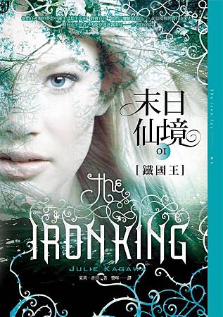 鐵國王 鐵國王