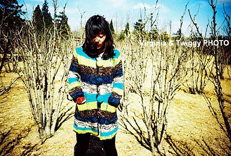 1387987929-2292443268.jpg 1387987929-2292443268.jpg