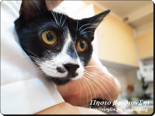 RIMG8636.JPG RIMG8636.JPG