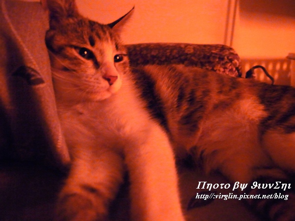 091216.JPG 091216.JPG