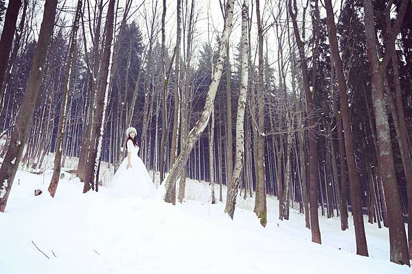 IMG_4230_副本_副本 IMG_4230_副本_副本