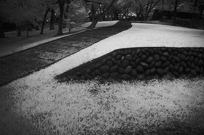 IMGP4125.jpg IMGP4125.jpg