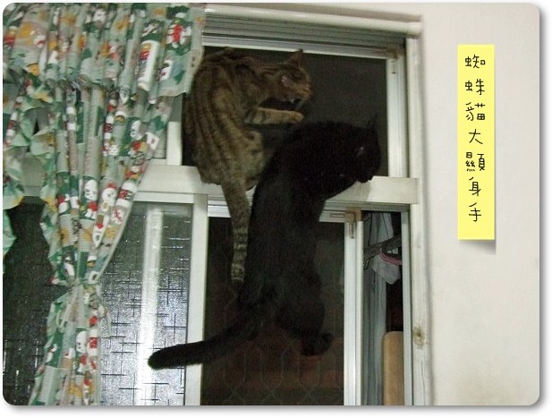 k01.jpg k01.jpg