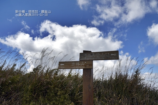 _DSC0986.JPG _DSC0986.JPG