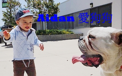 下一張(熱鍵:c)
